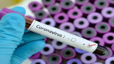 COVID-19: New Patch Test Can Detect Coronavirus Antibodies Within 3 Minutes